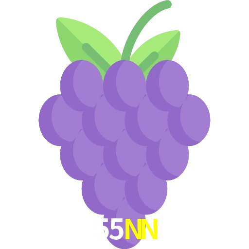 55NN